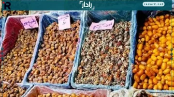 أسعار البلح السيوي في مطروح الأحد 19-10-2025.. البشاير بـ40 جنيهًا